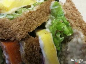 杭州爆料三明治视频网络,一网爆红背后的美味传奇  第2张