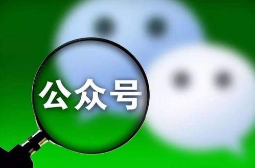 吃瓜群众娱乐微信公众号,吃瓜群众带你探秘明星生活